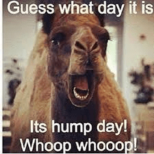 humpday